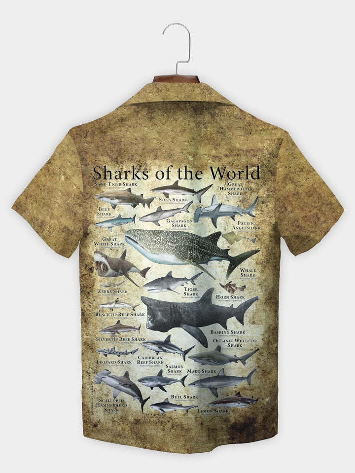 Brown Sharks Of The World Educational Short Sleeve Hawaiian Shirt  Back